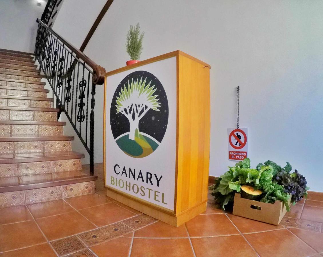 Canary Bio Hostel Tenerife Los Realejos Eksteriør bilde