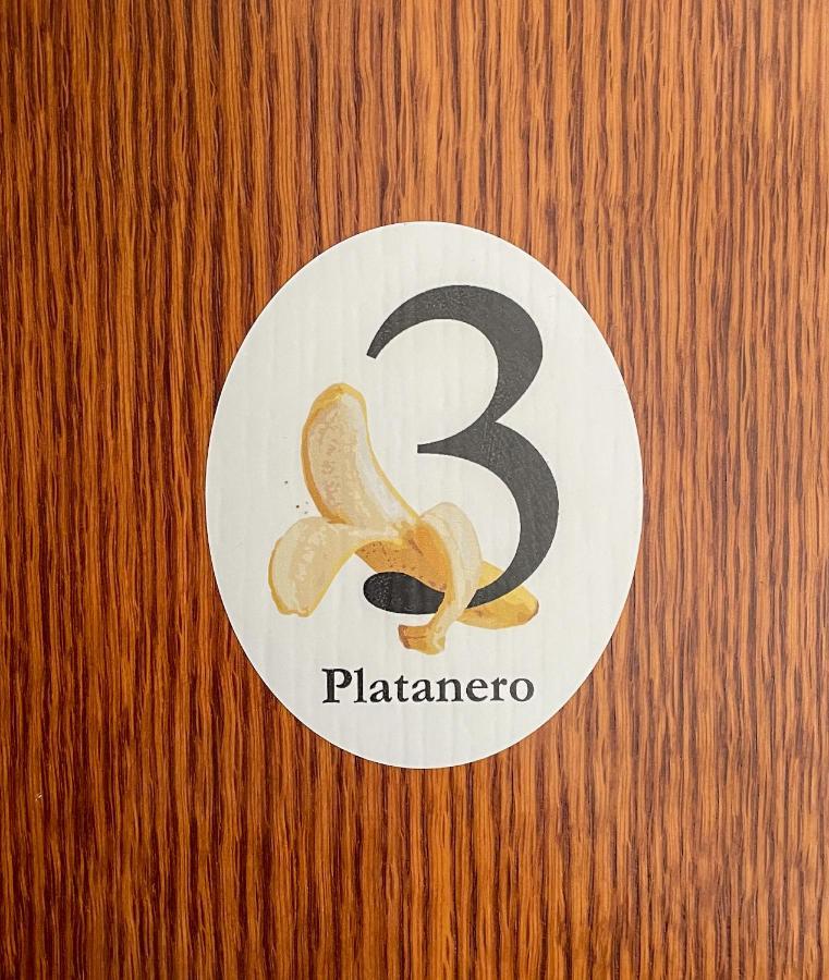 Canary Bio Hostel Tenerife Los Realejos Eksteriør bilde